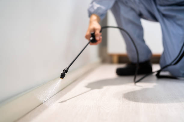 Licensed Mosquito Control service in Panama, OK - Show Me Pest Control