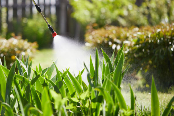 24/7 Emergency Mosquito Control experts in Panama, OK