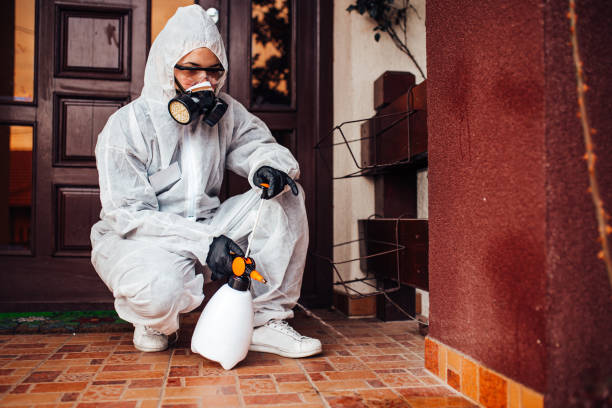 Reliable Mosquito Control contractor in Panama, OK by Show Me Pest Control